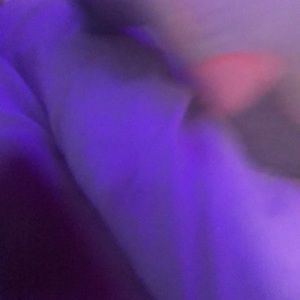 Meet your Posher, Chase